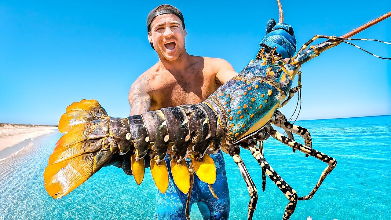 Ikan lobster jadi bisnis menguntungkan saat ini