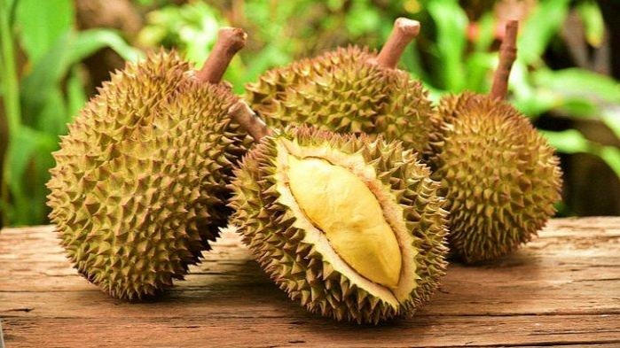 Cara budidaya duren yang baik di indonesia