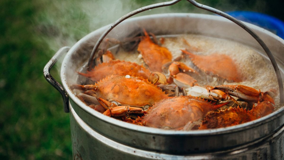 Kepiting jadi makanan enak dan lembut saat ini