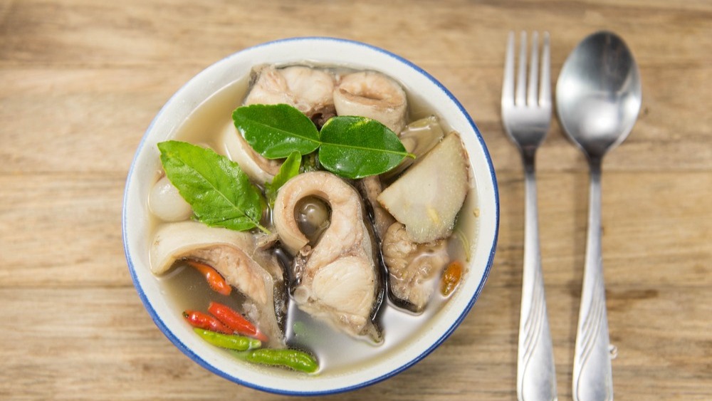Tips masak ikan patin dan ternak