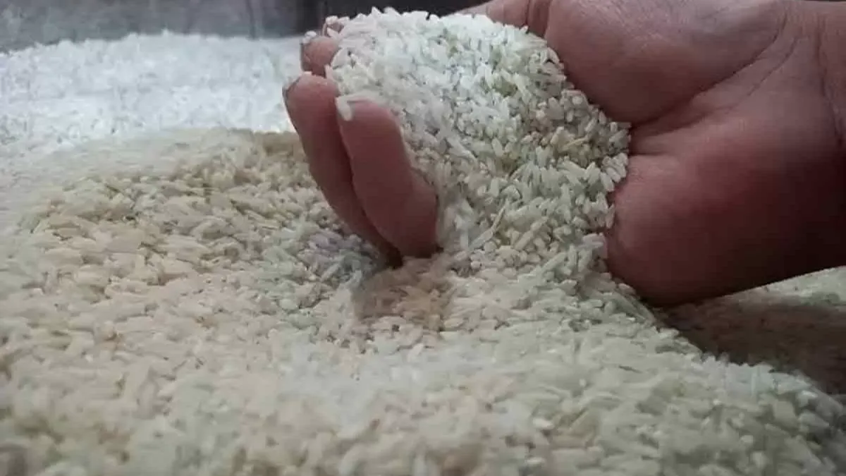 Heboh Harga Beras Melonjak: Di Mana Peran Bulog dan Solusi Jangka Panjangnya?