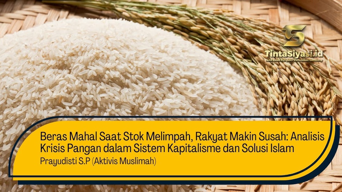 "Heboh Harga Beras Mahal: Analisis Penyebab, Dampak Sosial, dan Solusi yang Diperdebatkan"